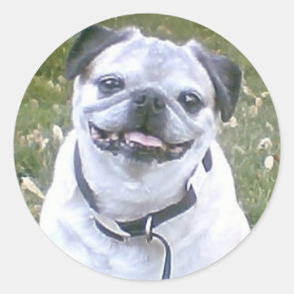 Redonda Pegatina de perro de pug