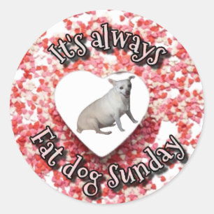 Redonda Pegatina de perro gordo