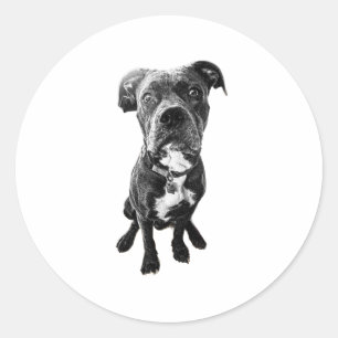 Redonda Pegatina de perro sentado – Pose realista en blanc