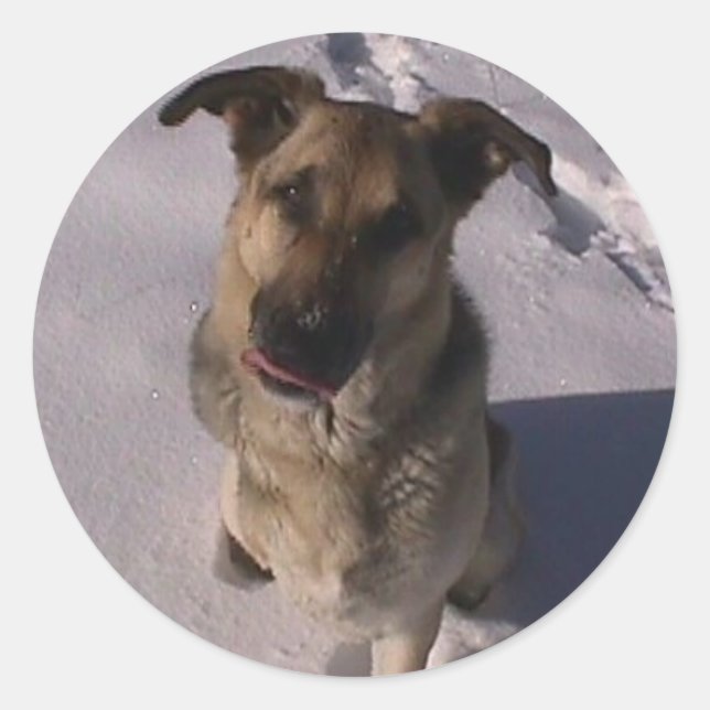 Redonda Pegatina de personalizable (Anverso)