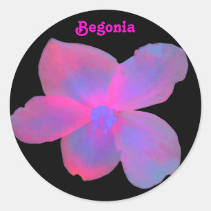 Redonda Pegatina de Personalizable de Begonia fluorescente