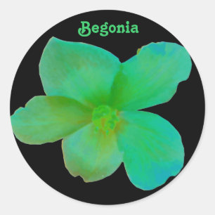 Redonda Pegatina de Personalizable de Begonia Verde
