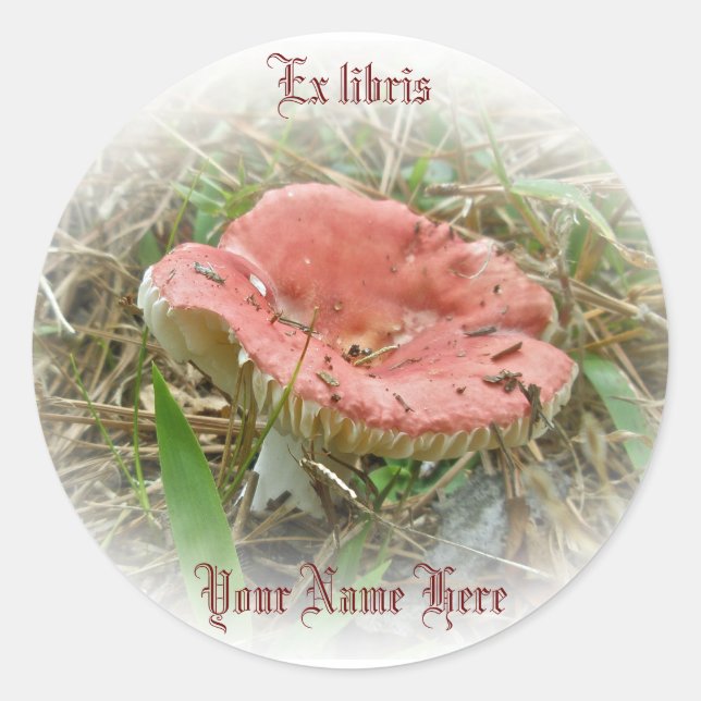 Redonda Pegatina de Pink Mushroom Ex libris (Anverso)