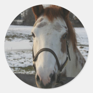 Redonda Pegatina de pintura