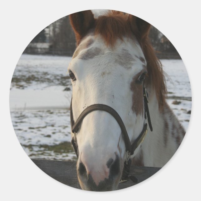 Redonda Pegatina de pintura (Anverso)