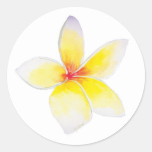 Redonda Pegatina de Plumeria Amarilla
