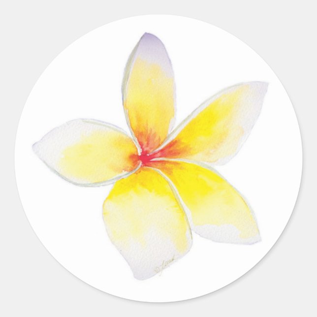 Redonda Pegatina de Plumeria Amarilla (Anverso)