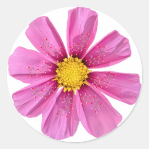 Redonda Pegatina de Química de Flores