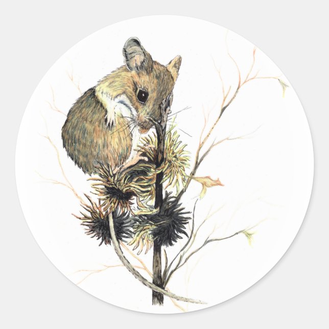 Redonda Pegatina de ratón de corte (Anverso)