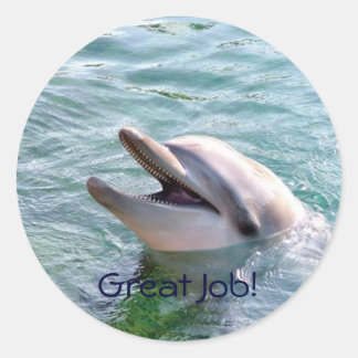 Redonda Pegatina de recompensa de docente de Dophin School