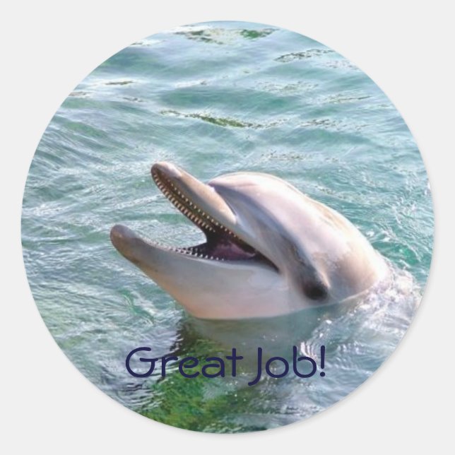 Redonda Pegatina de recompensa de docente de Dophin School (Anverso)