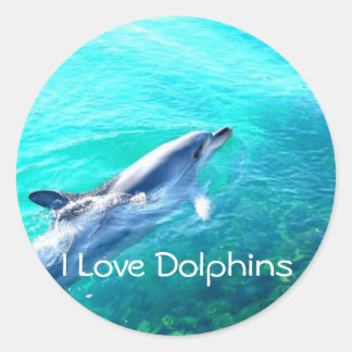 Redonda Pegatina de recompensa de docente de Dophin School