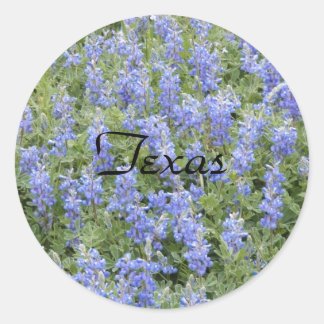 Redonda Pegatina de red azul de Texas