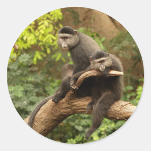 Redonda Pegatina de redondeo de mono