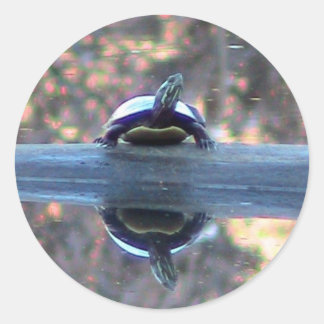 Redonda Pegatina de Reflexiones de Tortuga
