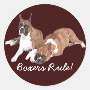 Redonda Pegatina de reglas de Boxers