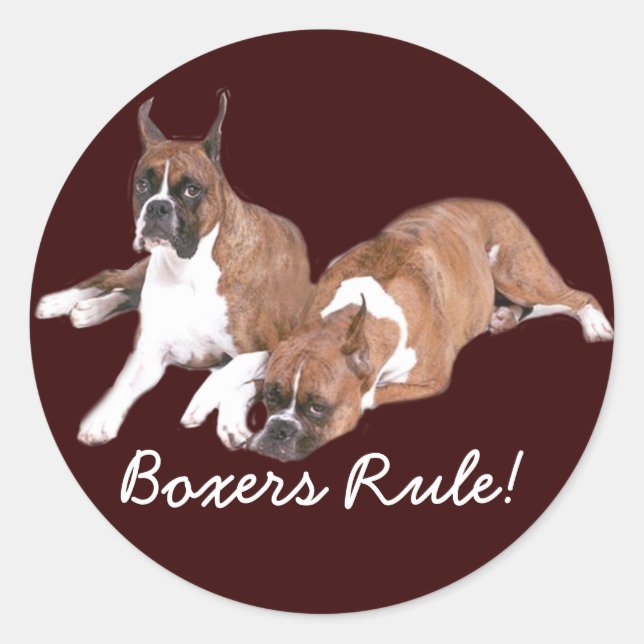 Redonda Pegatina de reglas de Boxers (Anverso)