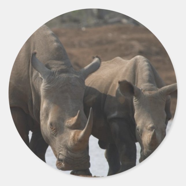 Redonda Pegatina de rinocerontes negros (Anverso)