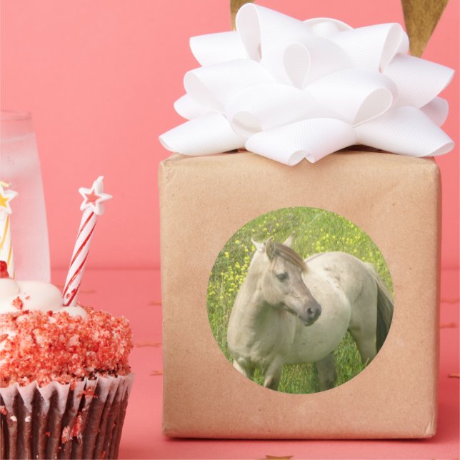 Redonda Pegatina de Ronda de Caballo Silvestre Cute (Fiesta)