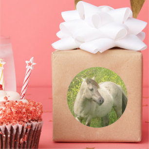 Redonda Pegatina de Ronda de Caballo Silvestre Cute