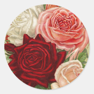 Redonda Pegatina de Ronda de Rosas de Jardín de Vintage