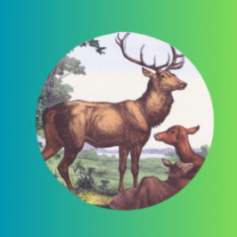 Redonda Pegatina de Ronda de Vintage de la Familia Deer