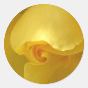 Redonda Pegatina de rosa amarillo