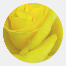 Pegatina de rosa amarillo