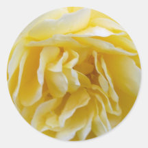 Pegatina de rosa amarillo