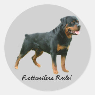Redonda Pegatina de Rottweiler