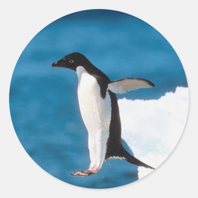 Redonda Pegatina de salto de pingüino (Anverso)