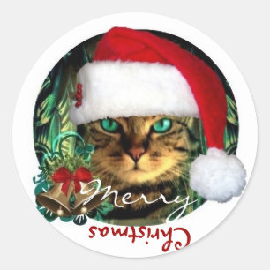 Redonda Pegatina de Santa Cat Feliz Navidad