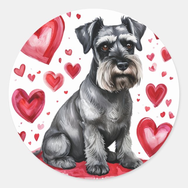 Redonda Pegatina de Schnauzer y Corazones (Anverso)