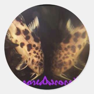Redonda Pegatina de sinodontis catfish