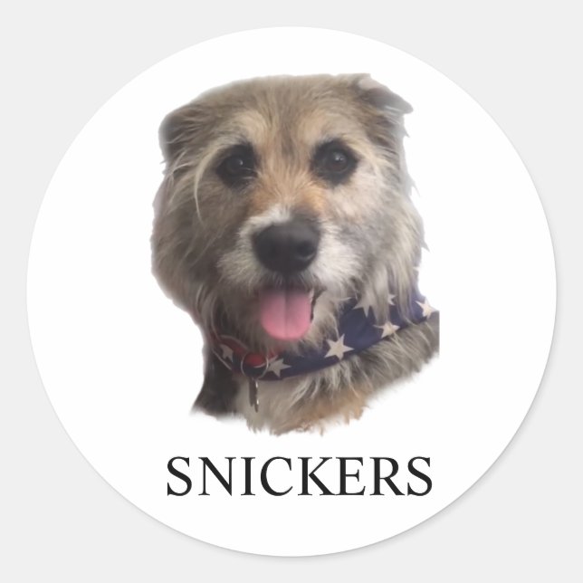 REDONDA PEGATINA DE SNICKERS (Anverso)