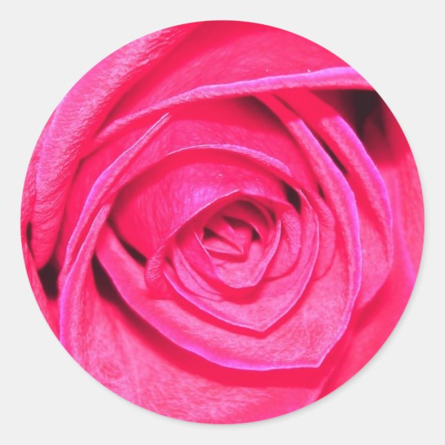 Redonda Pegatina de sobres Rosa y Rojo (Anverso)
