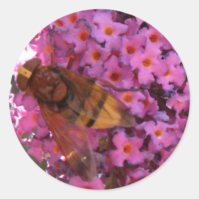 Redonda Pegatina de sobrevuelo (Anverso)