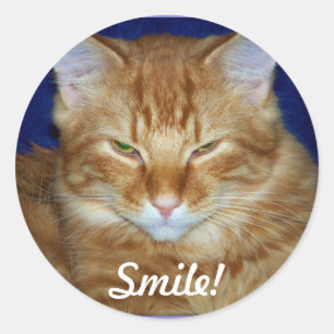 Redonda Pegatina de sonrisa de gato atigrado naranja
