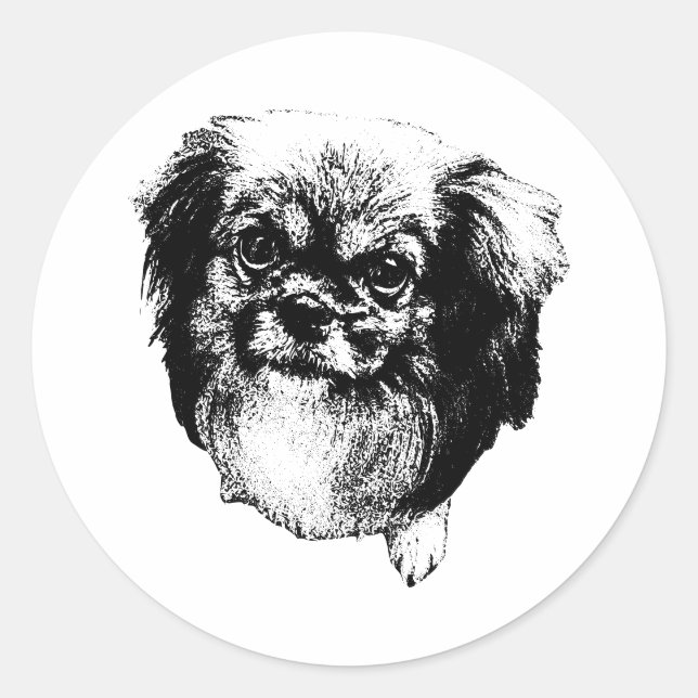 Redonda Pegatina de Spaniel Tibetano – Retrato en Tinta Tr (Anverso)