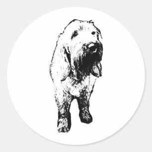 Redonda Pegatina de Spinone Italiano: perro erguido audaz