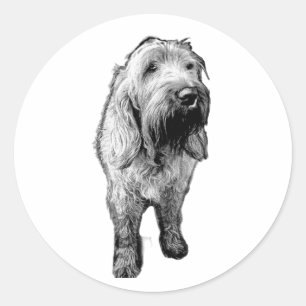 Redonda Pegatina de Spinone – Retrato Emocional de Perro
