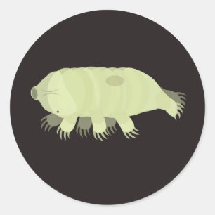 Redonda Pegatina de Tardigrado