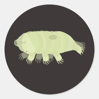 Redonda Pegatina de Tardigrado