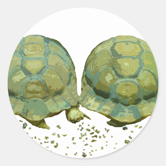 Redonda Pegatina de tortugas personalizados (Anverso)