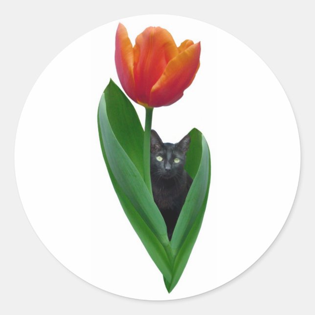 Redonda Pegatina de Tulip Cat (Anverso)