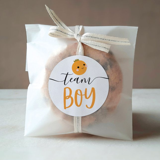 Redonda Pegatina de voto por revelación de género Naranja  (Subido por el creador)