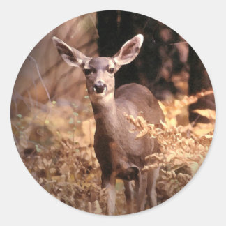 Redonda Pegatina Deer