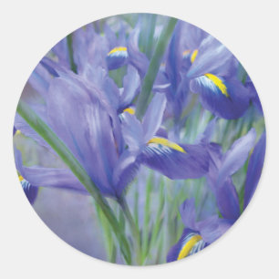 Redonda Pegatina del arte del ramo del iris
