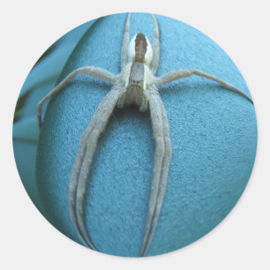 Redonda Pegatina del ~ de la araña 164