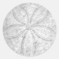 Pegatina del dólar de arena